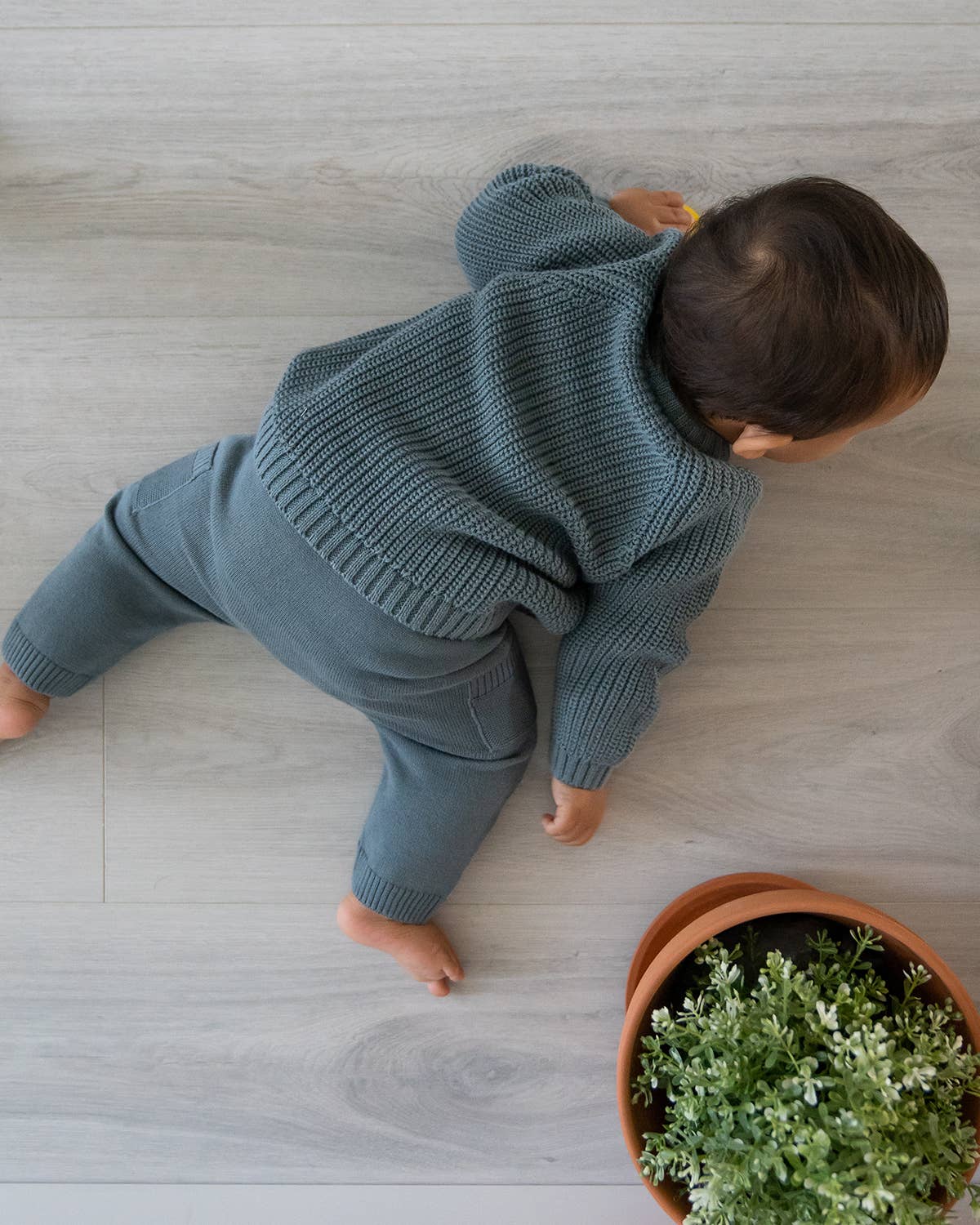 Sweater Knit Pants